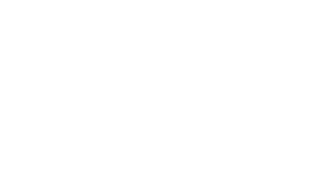 MCI Logo Blanco