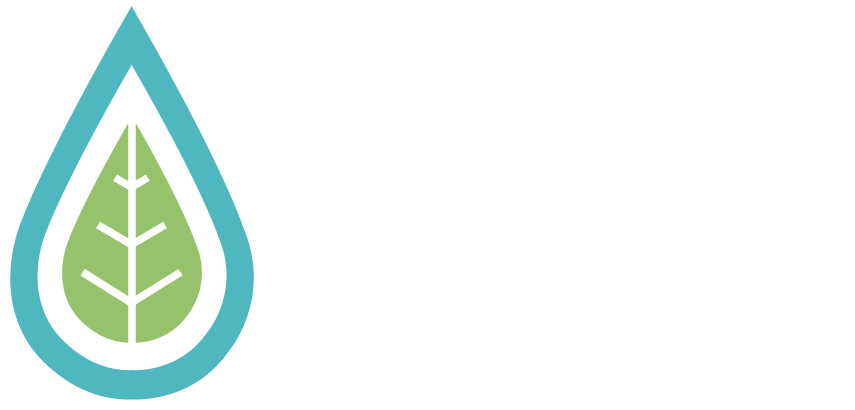 MCI Group